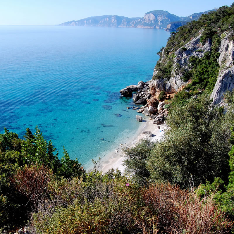 Spiagge Hotel gli Ulivi